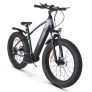 BEZIOR XF800 vélo électrique 48V 500W 13AH batterie vitesse maximale 40km/h