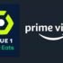Amazon offre à ses abonnés Prime 30 jeux vidéo gratuits